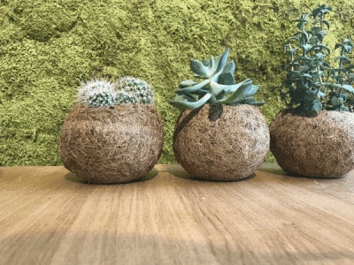 GIF afbeelding koffiekopjes.gif